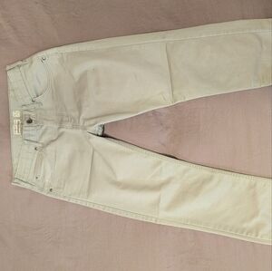 Patagonia Men's Tan Skinny Pants